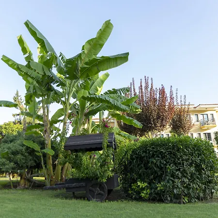 Club Phaselis Rose Rezort 5*